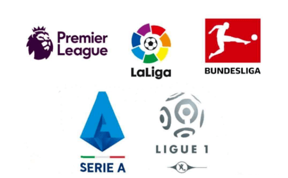 它们不仅影 它们不仅影